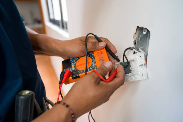 Best Ceiling Fan Installation Electrician  in Reed City, MI