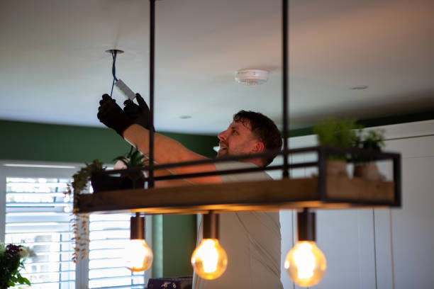 Best Electrical Troubleshooting Services  in Reed City, MI