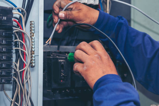 Best Electrician Near Me  in Reed City, MI