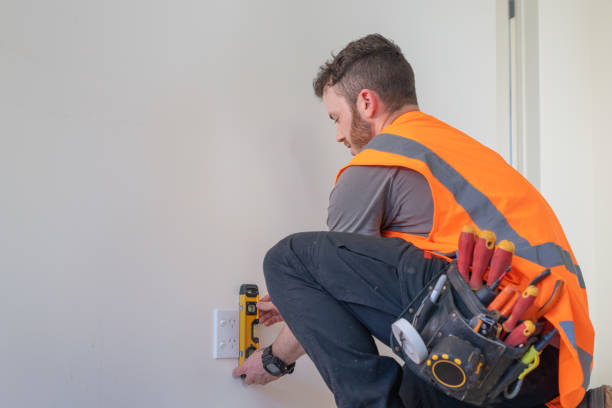 Best Generator Installation Services  in Reed City, MI