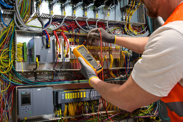 Best Electric Panel Repair  in Reed City, MI